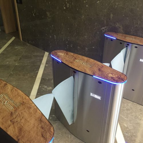 SB 100FL XL – Angular Leaf Turnstile for Disabled Person